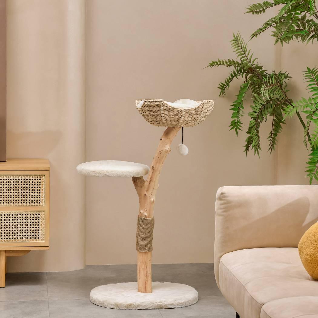 Cat Trees & Towers
